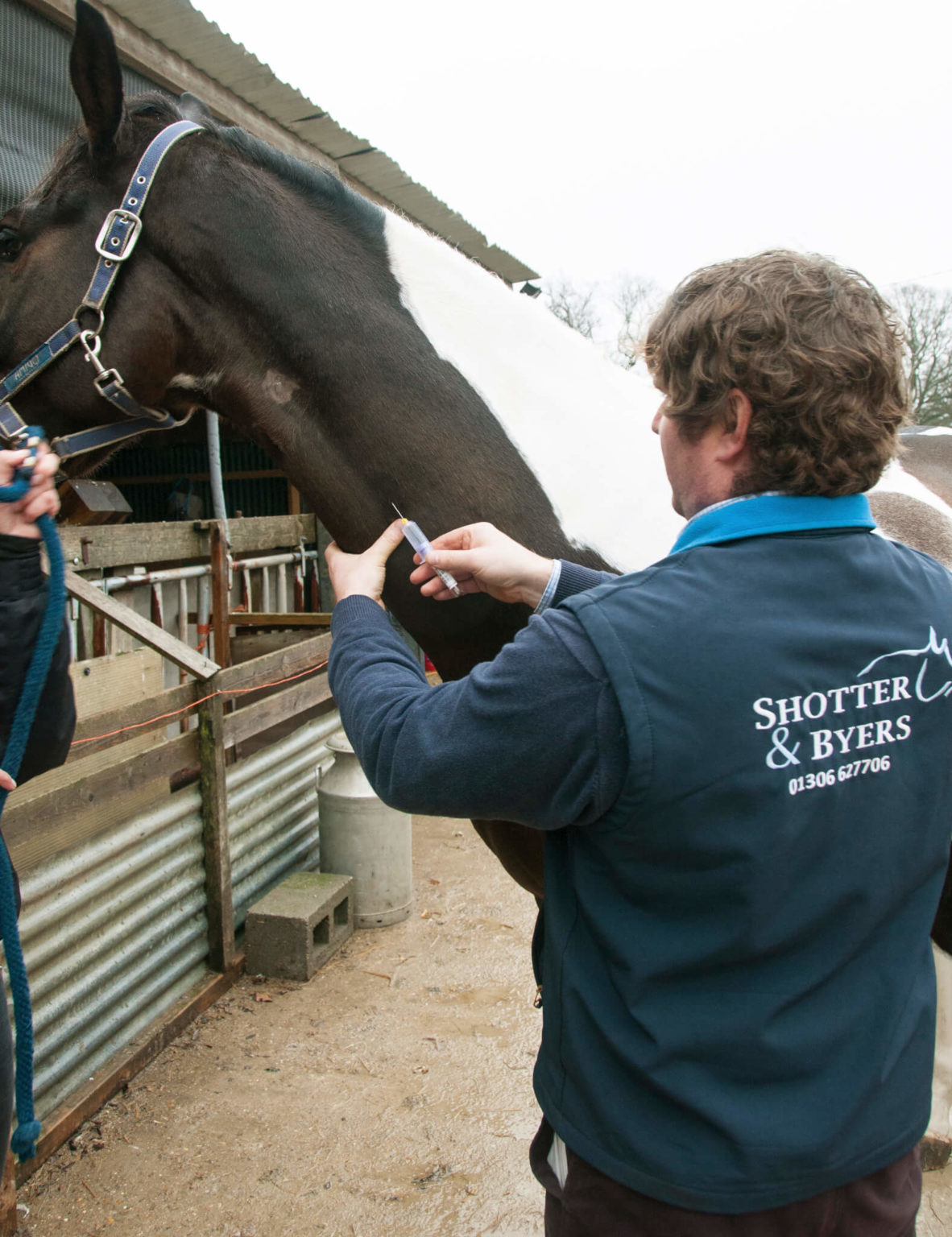 Equine Metabolic Syndrome Feeding Shotter & Byers