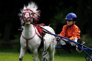 child horse and carriage